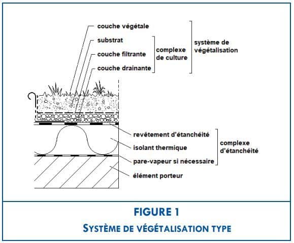 Schéma d'un complexe étanchéité-végétalisation type. ©Règles Professionnelles Toitures Terrasses Végétalisées Adivet.