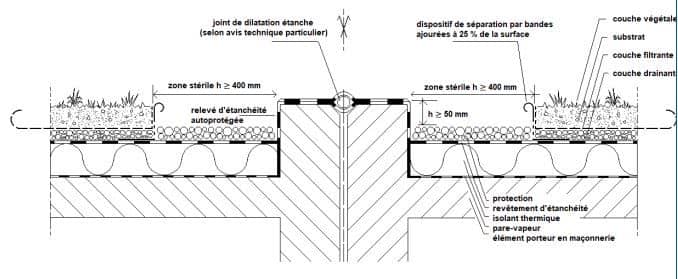 Schéma d'une végétalisation avec joint de dilatation apparent.