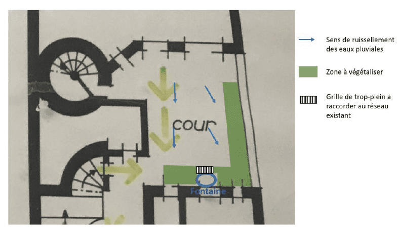 Plan de la cour avec recommandations de végétalisation en fonction du sens de ruissellement des eaux pluviales.