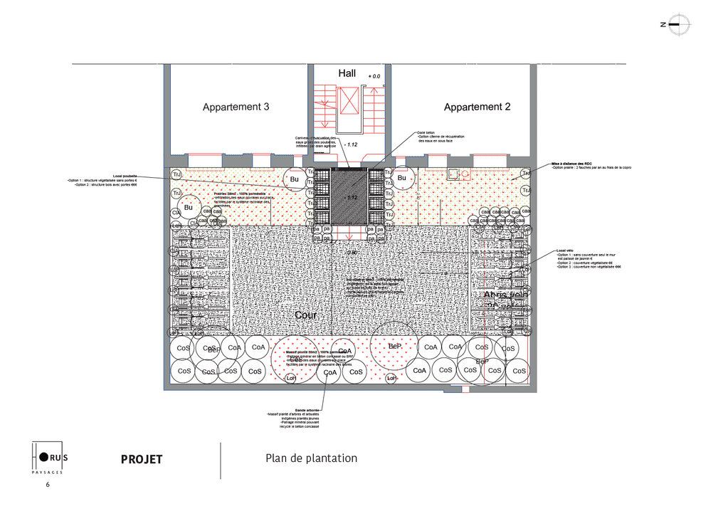 Plan de plantations réalisé par Horus Paysages dans le cadre de la conception d'un projet de végétalisation d'une cour d'immeuble dans le 12e arrondissement. ©Horus Paysages