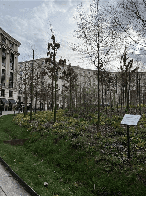 Micro-forêt urbaine avec une noue végétale, Place Catalogne dans le 14e arrondissement de Paris (Crédit Agence Parisienne du Climat)