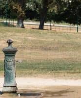 L’Île-de-France face à la sécheresse