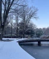 Neige dans le parc de Bercy à Paris - 05/01/26
