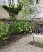 [Série technique] - Végétaliser une cour d’immeuble en pleine terre