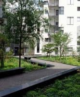 Entre trombes d’eau et sécheresses, comment concilier les extrêmes dans l’aménagement de l’espace urbain ? 