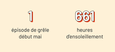- 1 épisode de grêle début mai - 661 heures d’ensoleillement
