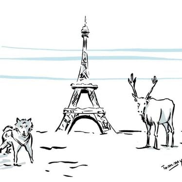 [Bande dessinée] «Ne pas perdre le Nord» : impacts du climat de Paris, au Groenland