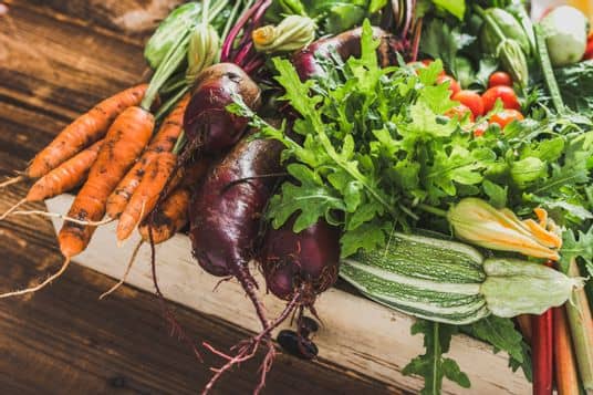 Légumes biologiques et de saison