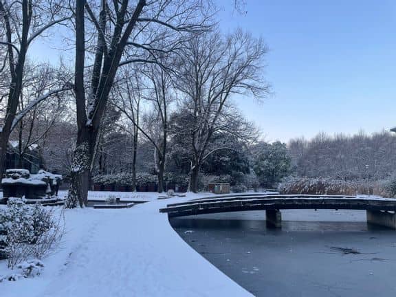 Neige dans le parc de Bercy à Paris - 05/01/26