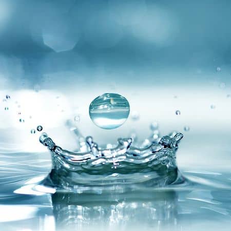 Préserver la ressource en eau à Paris ©Anton Maltsev/Adobe Stock